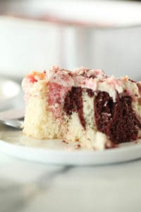 close up shot of neapolitan cake on white plate